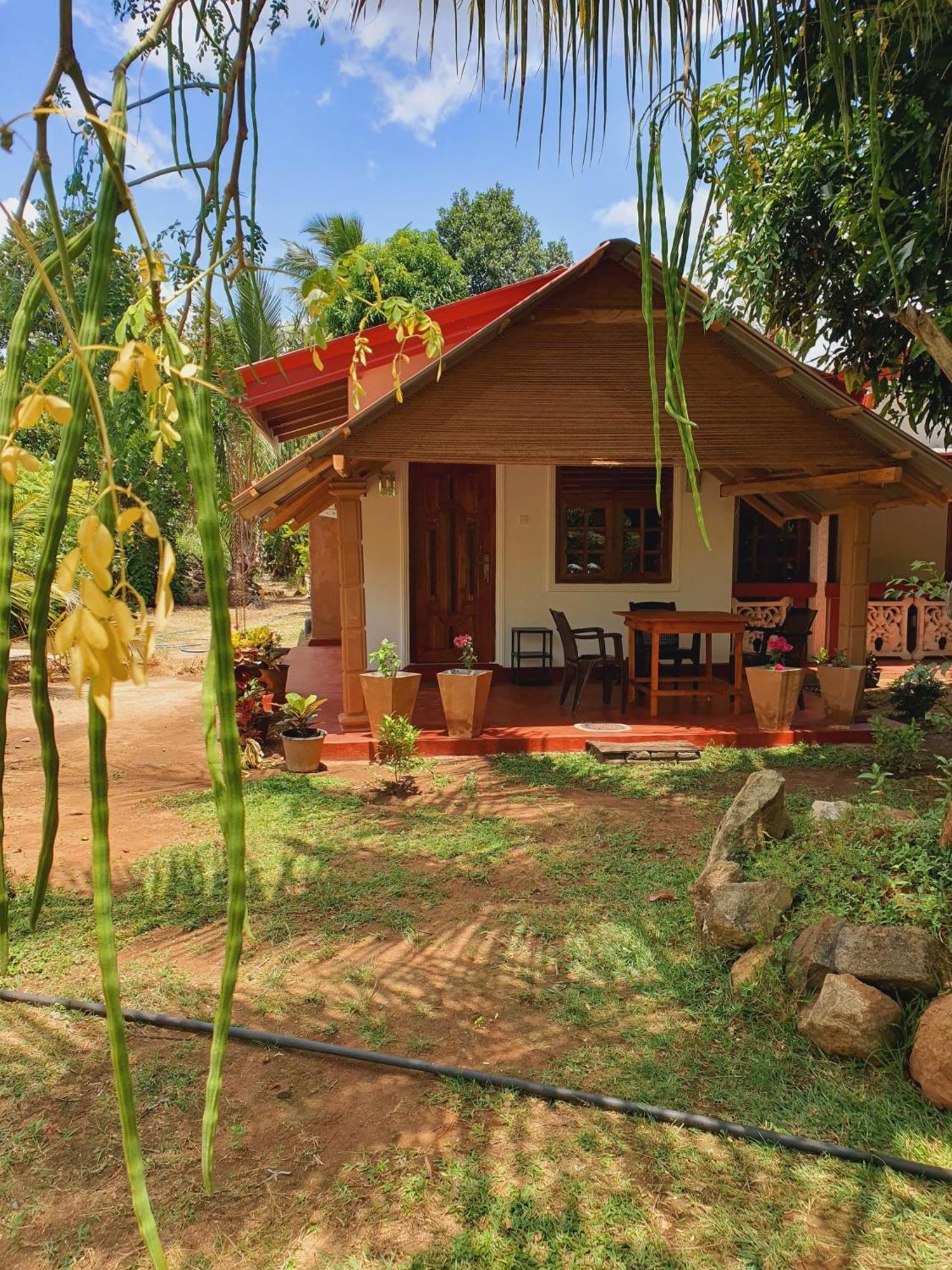 Jungle Eco Lodge & Safari Sigiriya Eksteriør billede
