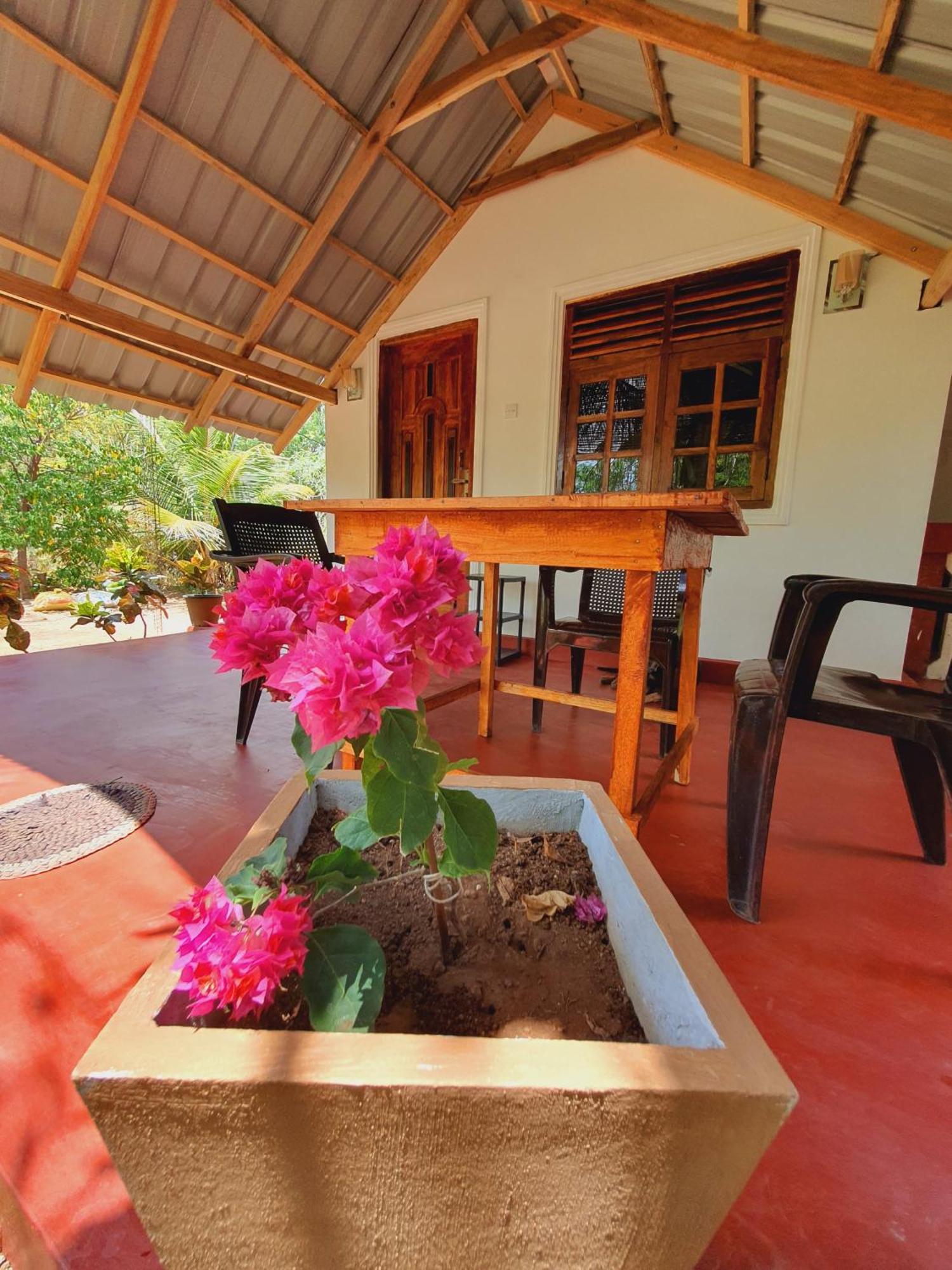 Jungle Eco Lodge & Safari Sigiriya Eksteriør billede