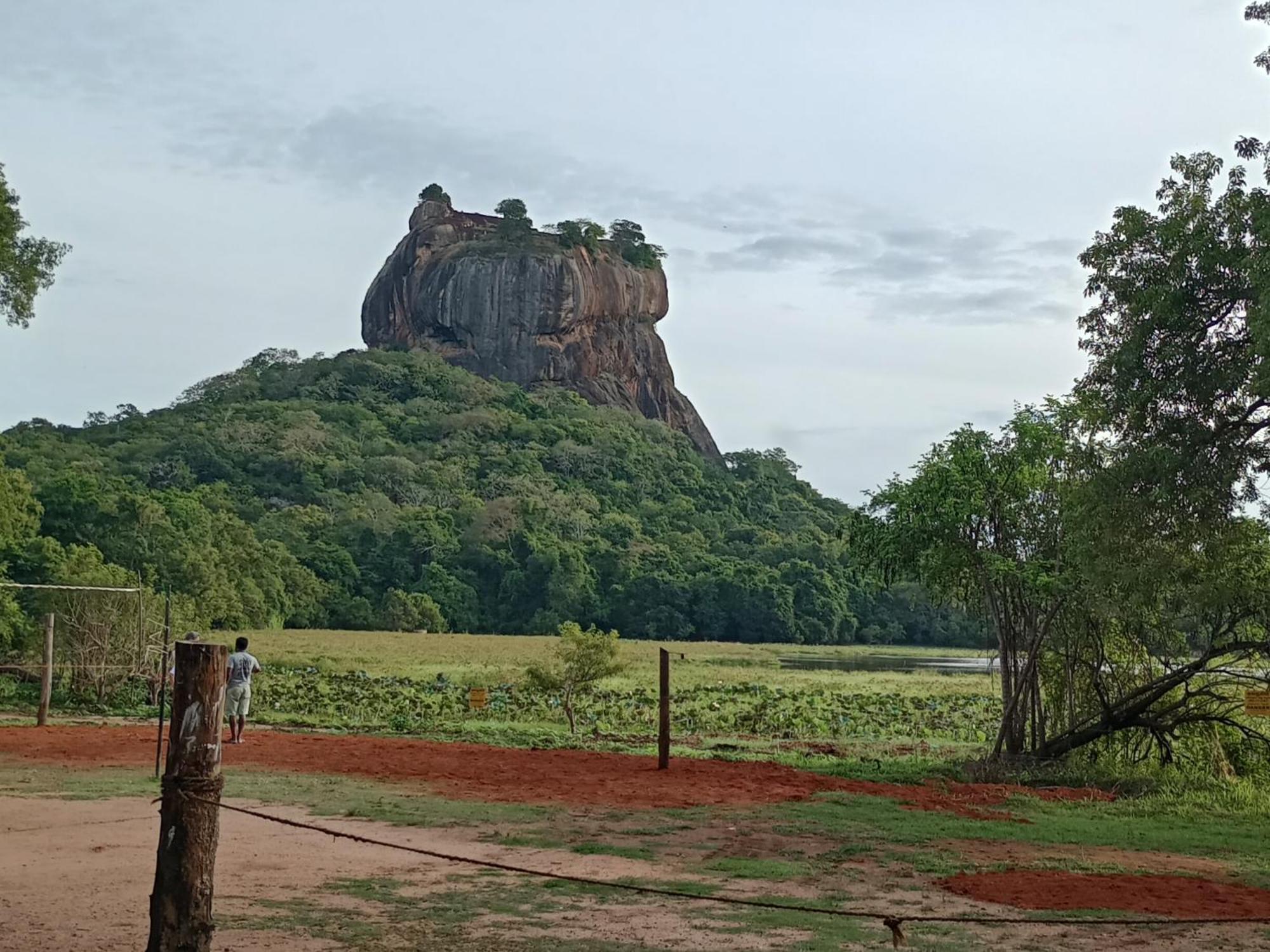 Jungle Eco Lodge & Safari Sigiriya Eksteriør billede