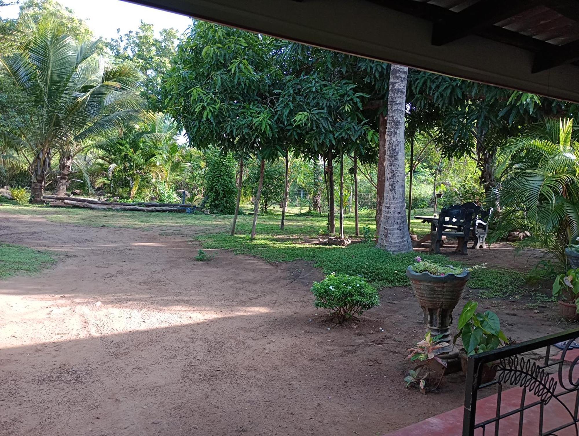 Jungle Eco Lodge & Safari Sigiriya Eksteriør billede