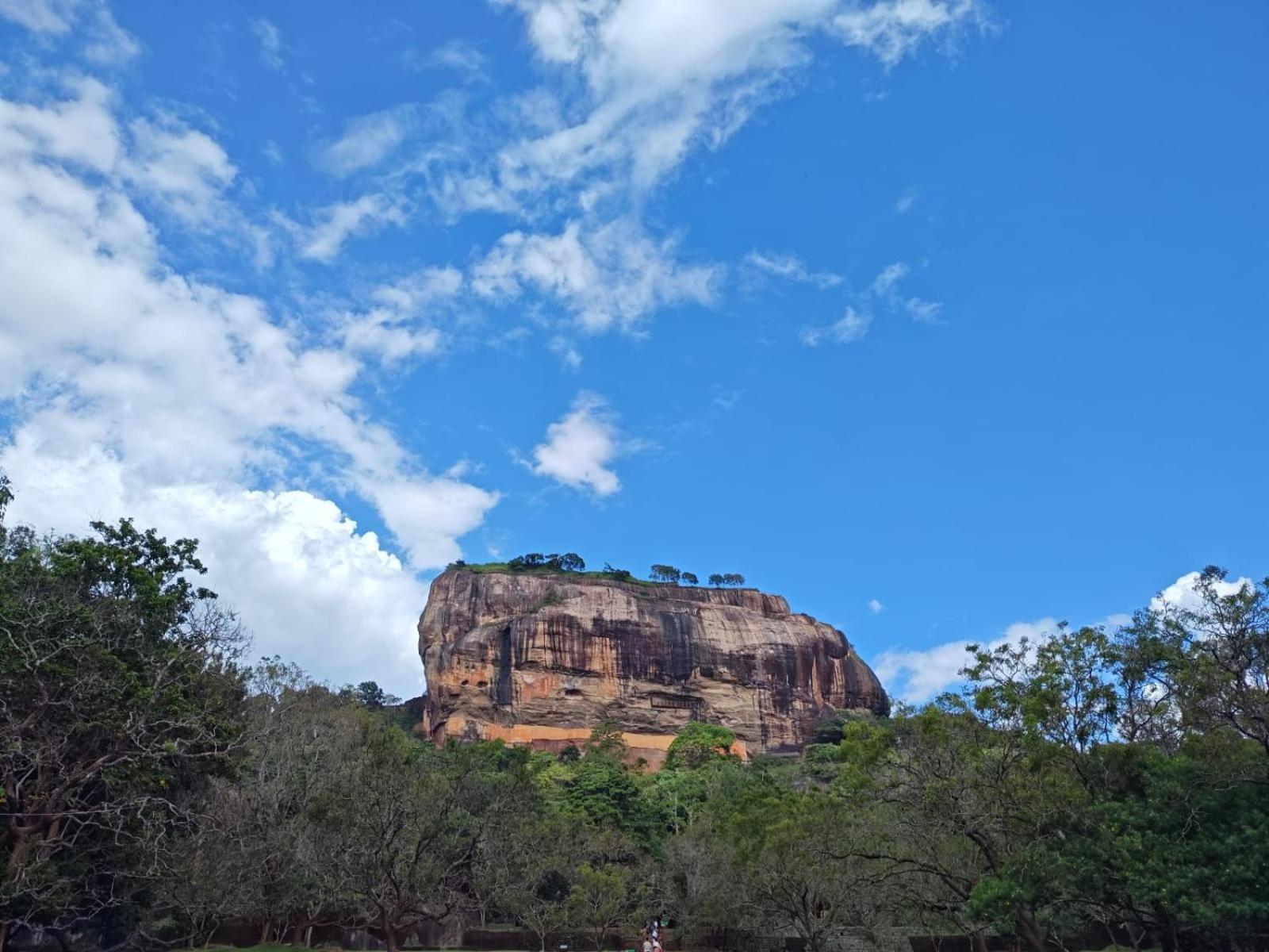Jungle Eco Lodge & Safari Sigiriya Eksteriør billede